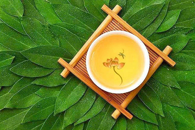 老白茶几年的比较好(老白茶几年最好)